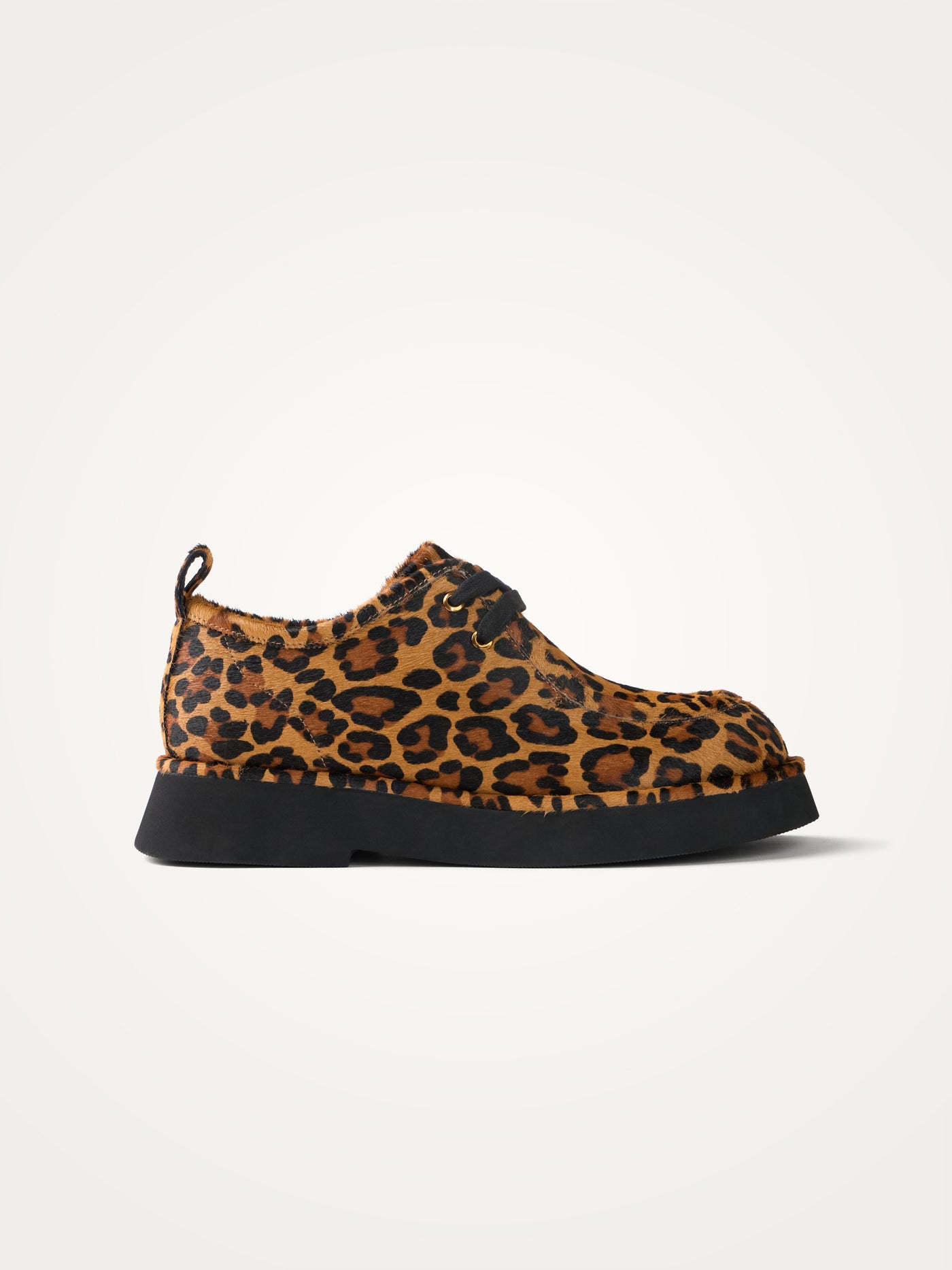 MASON Lace derbies