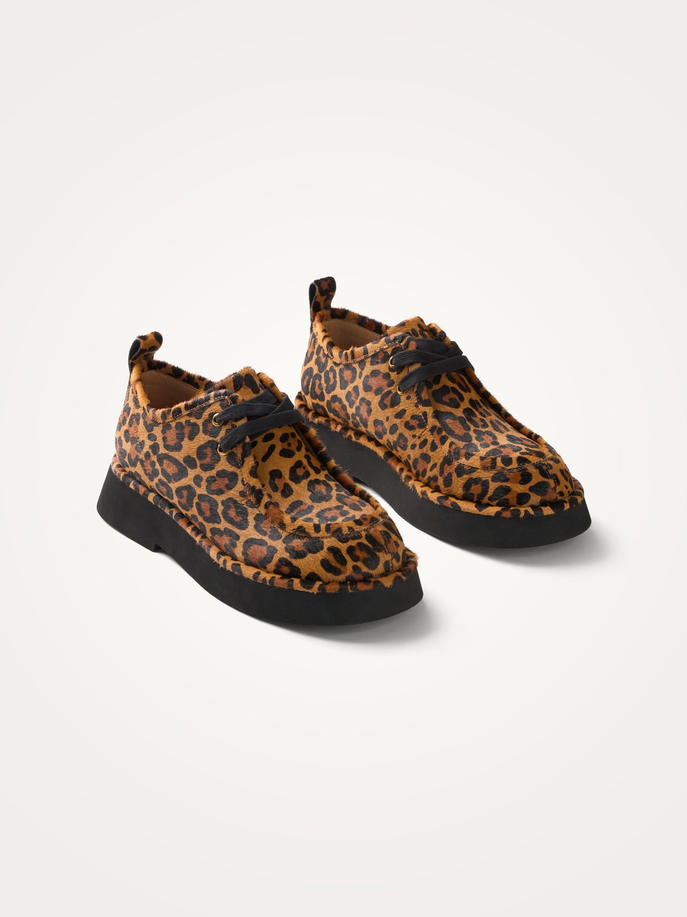 MASON Lace derbies