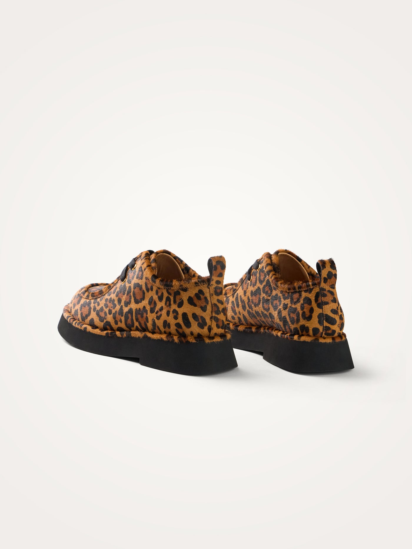 MASON Lace derbies