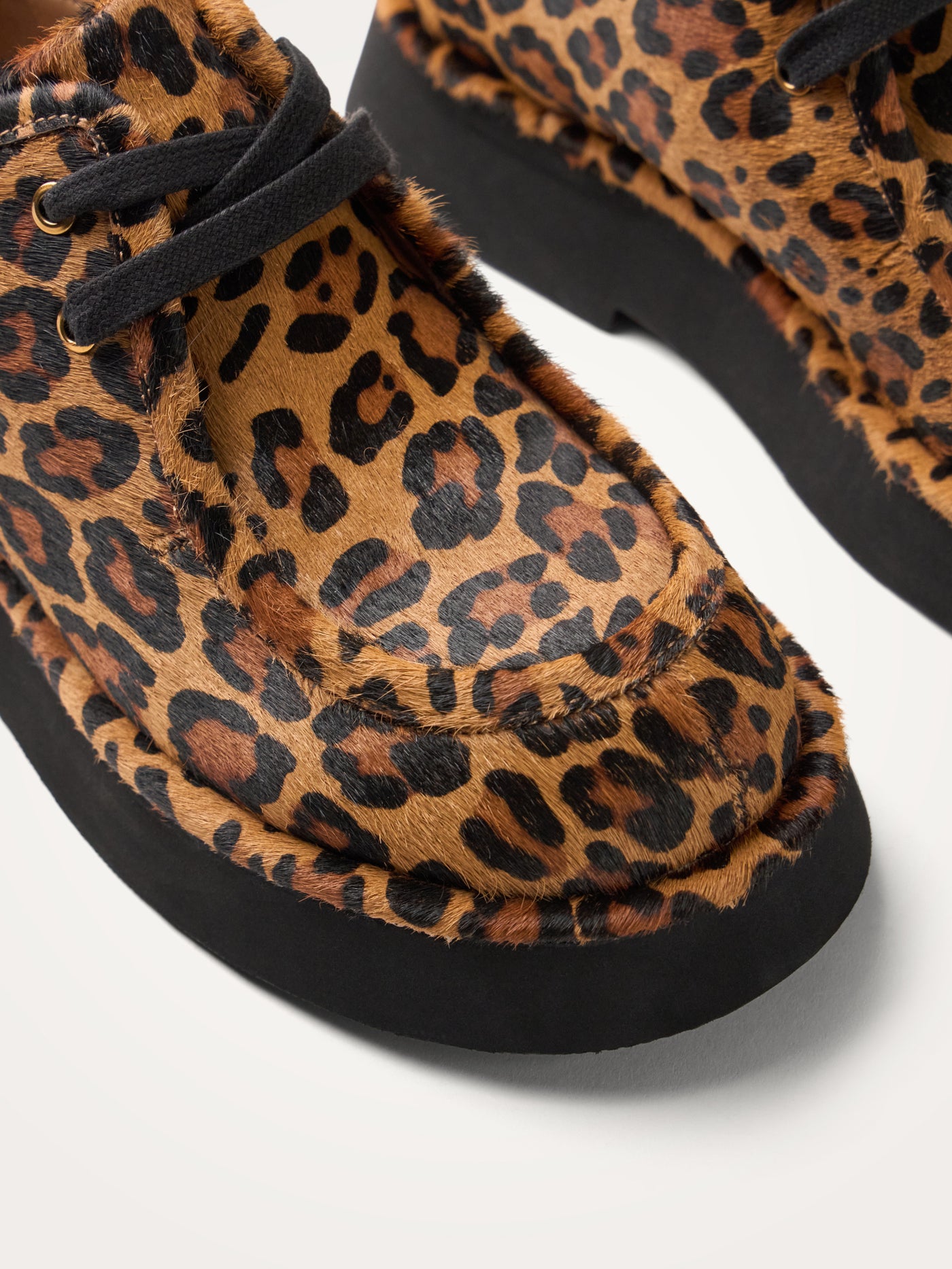 MASON Lace derbies
